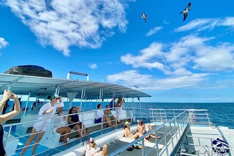Playa Flamingo Catamaran Tour with Snorkel, Lunch, Cocktails