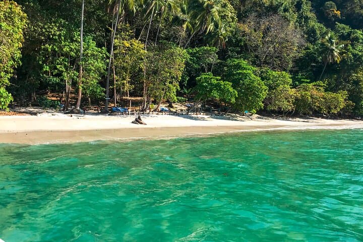 Snorkeling Tour to Playa Fantasia on Sealounge Catamaran